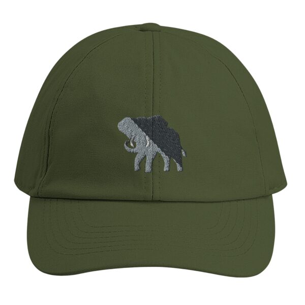 02508088-e697-47c1-a004-32e29e38d7cb