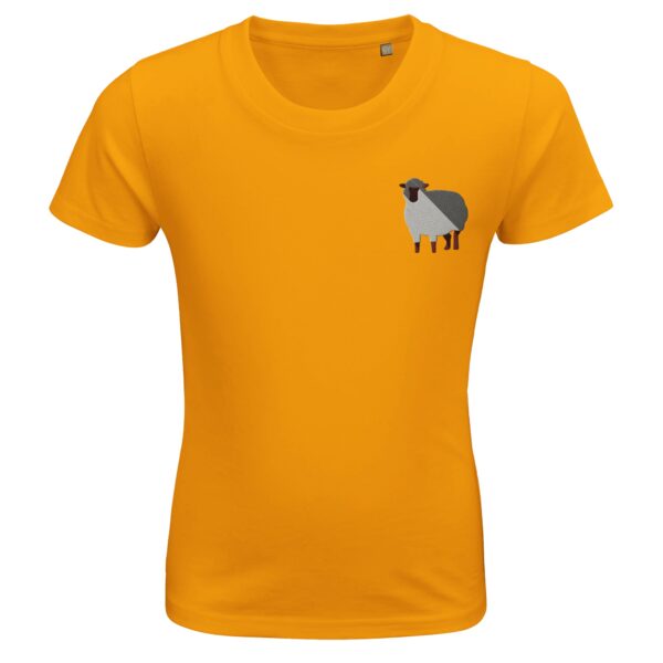 55e3c5f1-262a-4be7-8247-8a123dba48a4