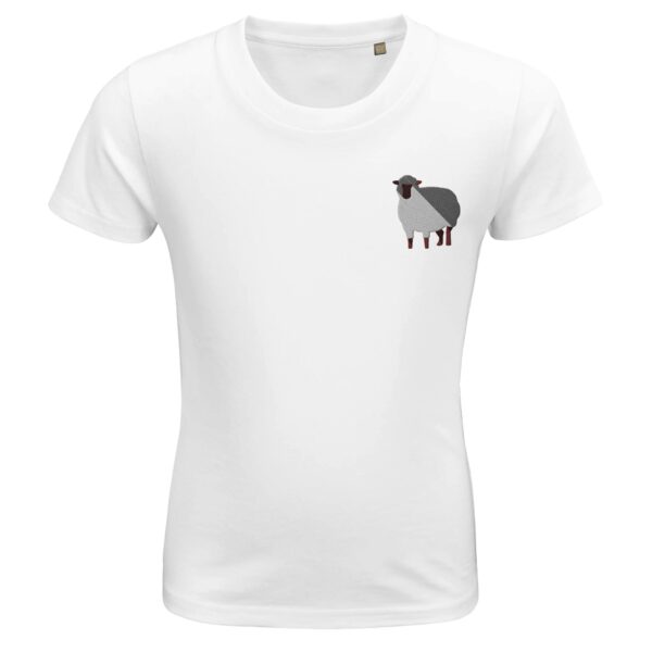 ba226d02-36d8-45ed-818e-7dec4681535c