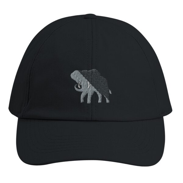 c1362113-f116-418a-86ee-5f8aead29efc